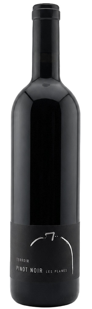 Pinot Noir Les Planes 2023